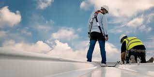 Best Roof Maintenance and Cleaning  in Denison, TX